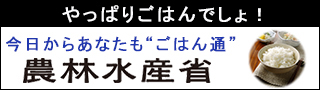 やっぱりごはんでしょ！